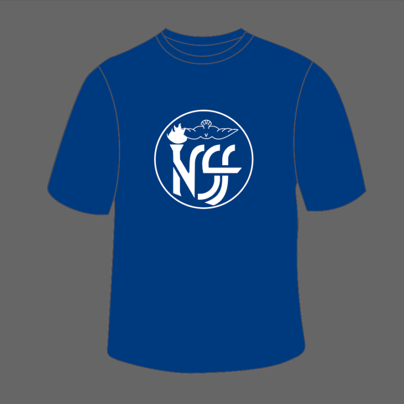 Remera INSF